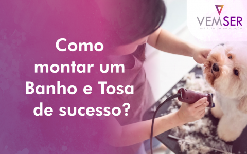 Como Montar Um Banho E Tosa De Sucesso Vemser Cursos