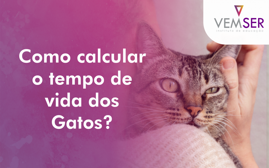 Como calcular o tempo de vida dos Gatos?