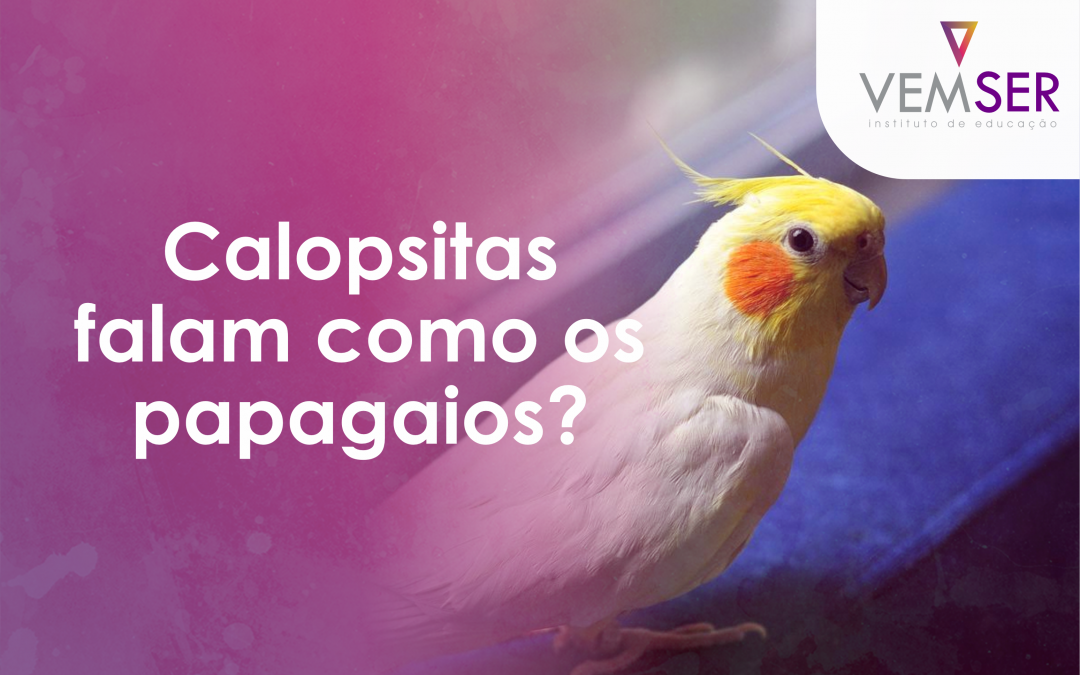 Calopsitas falam como os papagaios?
